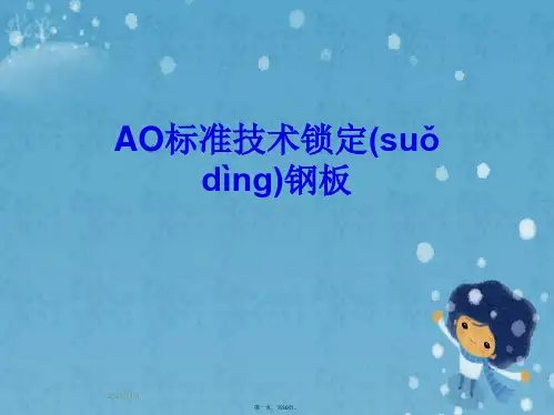 AO标准技术锁定钢板