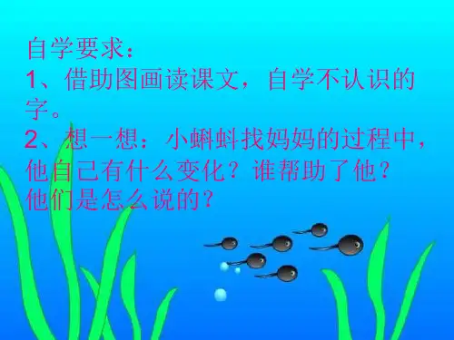 小蝌蚪找妈妈课件ppt