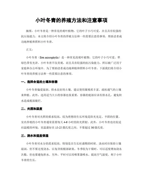 小叶冬青的养殖方法和注意事项