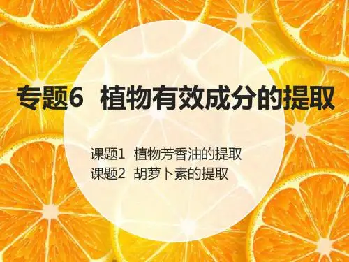 专题6  植物有效成分的提取