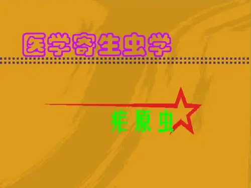 医学寄生虫学 PPT课件