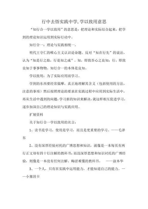 行中去悟实践中学,学以致用意思
