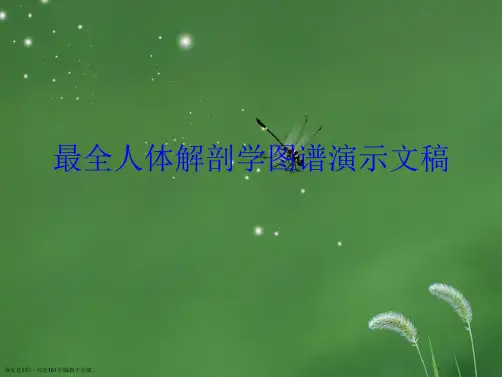 最全人体解剖学图谱演示文稿