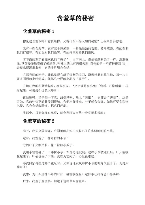含羞草的秘密