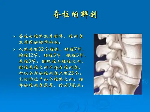 脊柱介入治疗进展臭氧椎间盘治疗 ppt课件