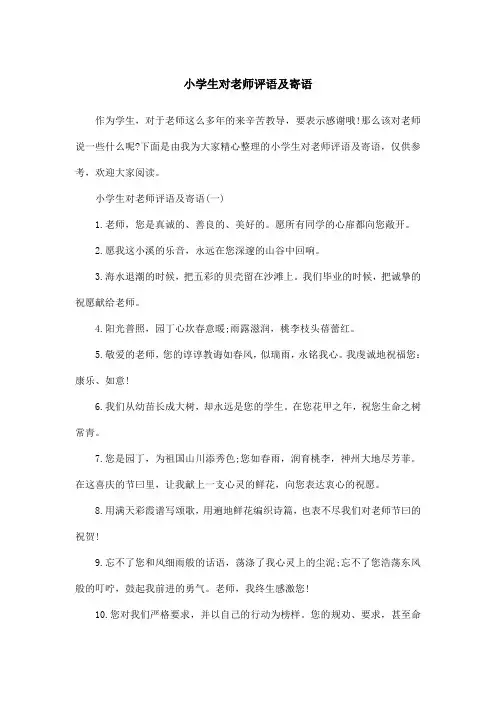 小学生对老师评语及寄语