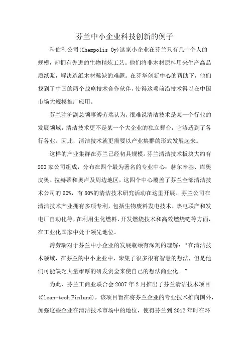 芬兰中小企业科技创新的例子