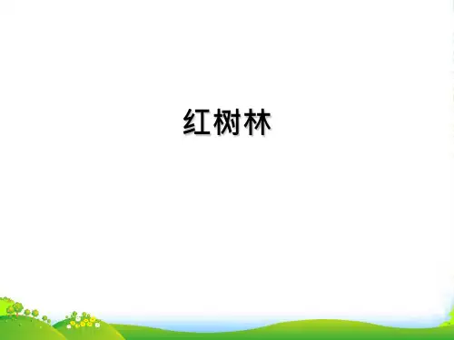 北师大版五年级语文上册2.3 红树林课件
