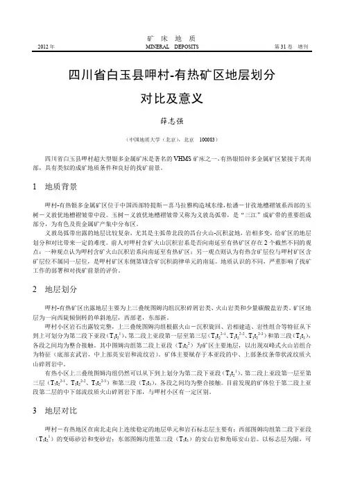 四川省白玉县呷村-有热矿区地层划分对比及意义