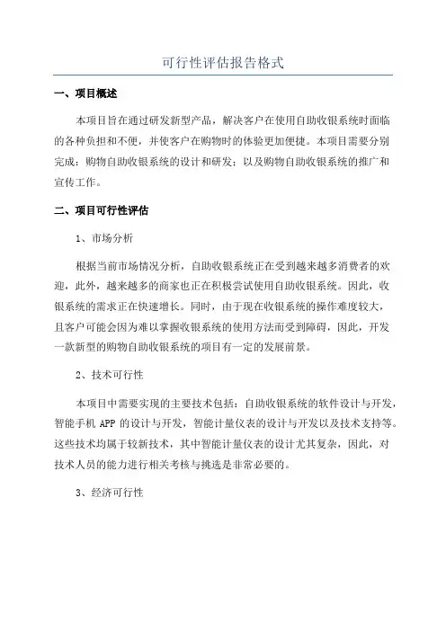可行性评估报告格式