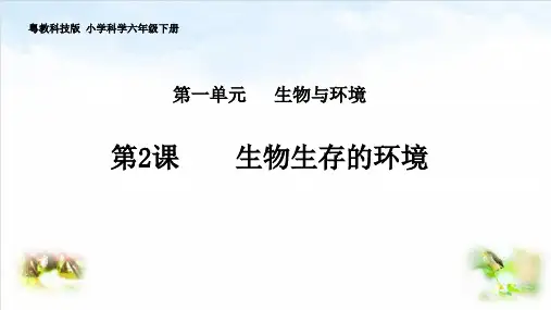 六年级(下)科学-第一单元生物生存的环境-粤教版
