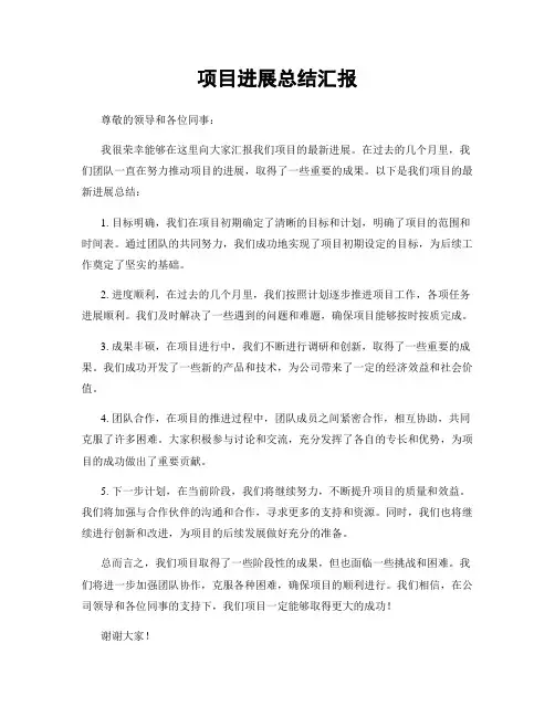 项目进展总结汇报