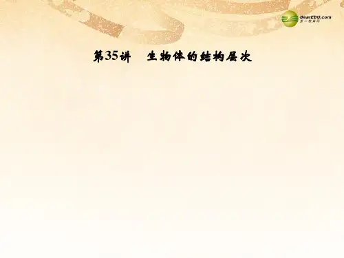 浙江省中考科学一轮复习 第35讲 生物体的结构层次课件