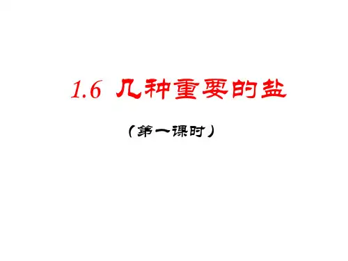 1.6-几种重要的盐-第1课时-课件(共19张PPT)公开课
