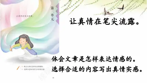 第8课《匆匆》课件