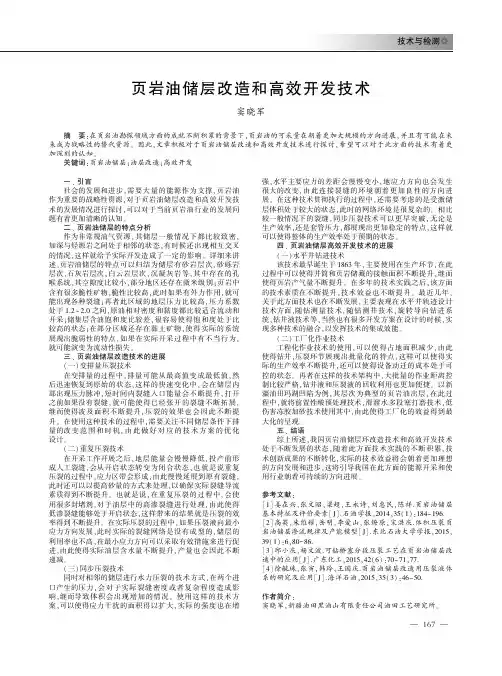 页岩油储层改造和高效开发技术