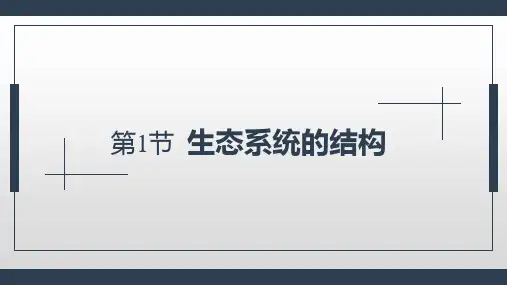 课件 生态系统的结构