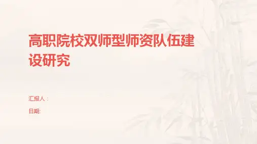 高职院校双师型师资队伍建设研究