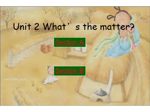 unit2what’sthematter人教新目标八年级上全国比赛一等奖课件