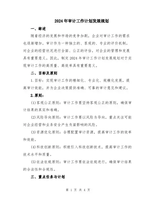 2024年审计工作计划发展规划