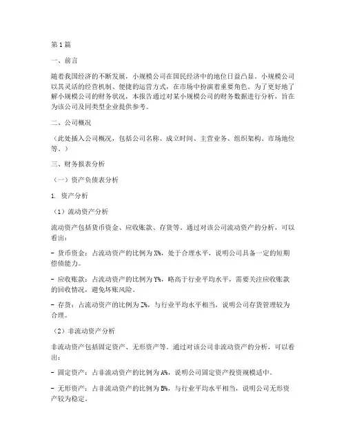 小规模公司财务分析报告(3篇)