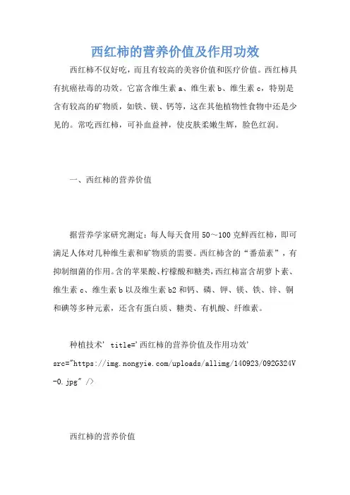 西红柿的营养价值及作用功效