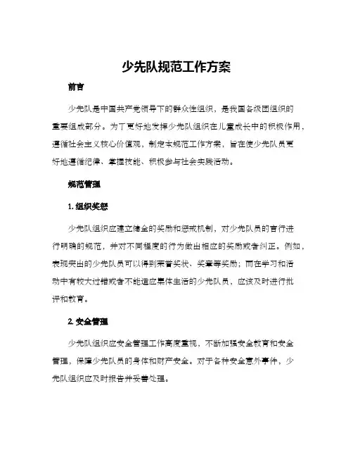 少先队规范工作方案