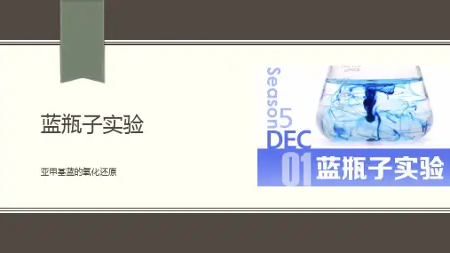 蓝瓶子实验