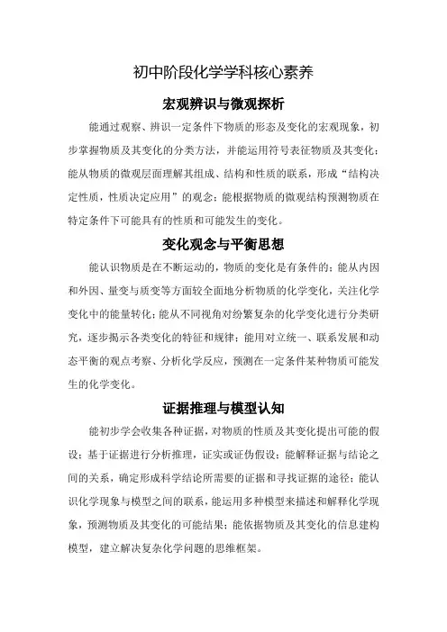 初中阶段化学学科核心素养