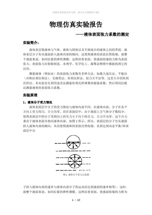 物理仿真实验