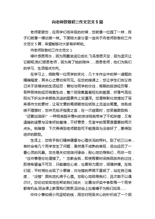 向老师致敬初三作文范文5篇