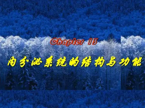 第十三章 内分泌系统的机构和功能