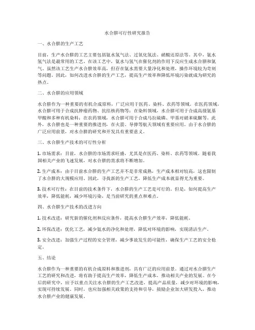 水合肼可行性研究报告