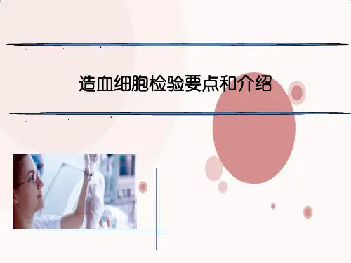 造血细胞检验要点和介绍