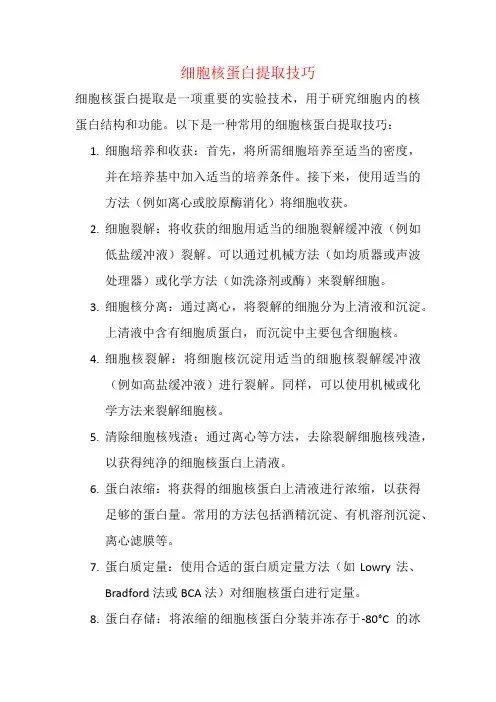 细胞核蛋白提取技巧