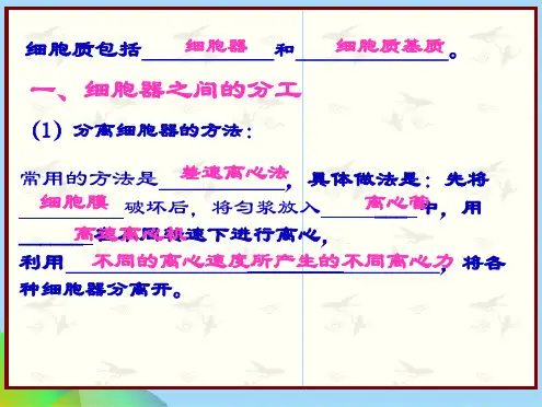 细胞器--系统内的协同合作(共27张PPT)