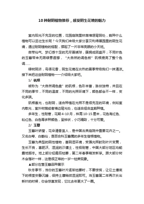 10种耐阴植物推荐，感受阴生花境的魅力