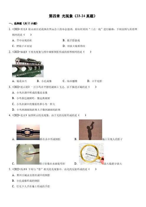 2024中考物理高频考点一遍过第04章 光现象(易错真题汇编)(原卷版)