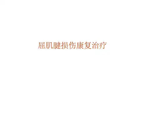 屈肌腱损伤康复治疗