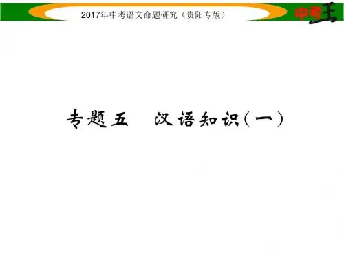 中考语文命题研究(贵阳专版)课件 第一编  精练专题五 