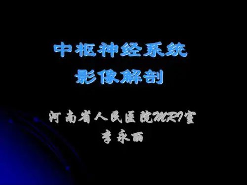 中枢神经系统影像解剖