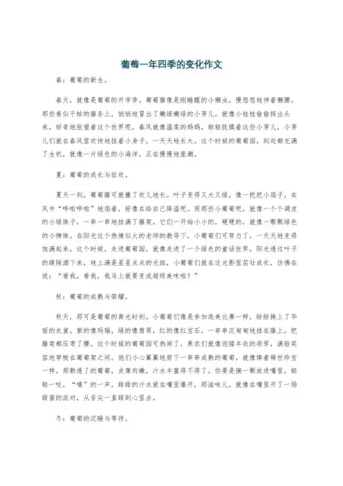 葡萄一年四季的变化作文