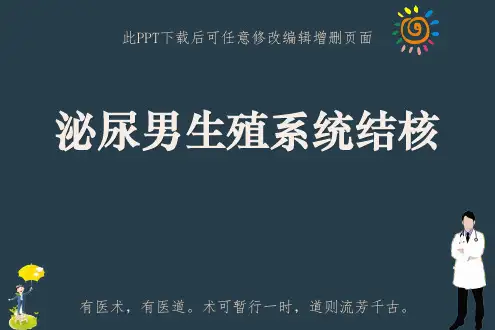 泌尿男生殖系统结核PPT