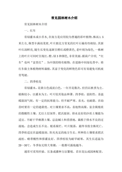 常见园林树木介绍