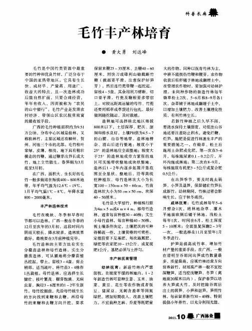 毛竹丰产林培育