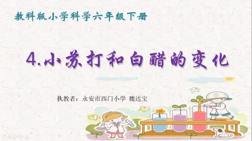 24《小苏打和白醋的变化》课件