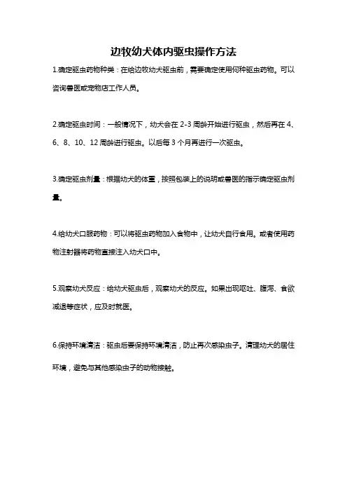 边牧幼犬体内驱虫操作方法