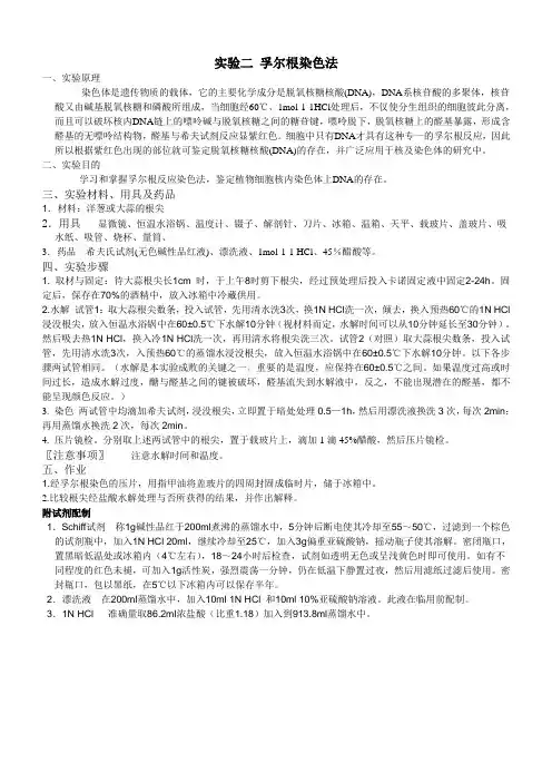 实验二孚尔根染色法