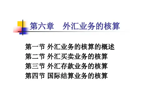 外汇业务的核算概述(PDF 66页)