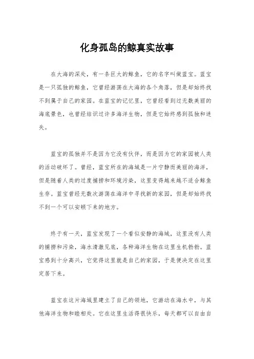 化身孤岛的鲸真实故事